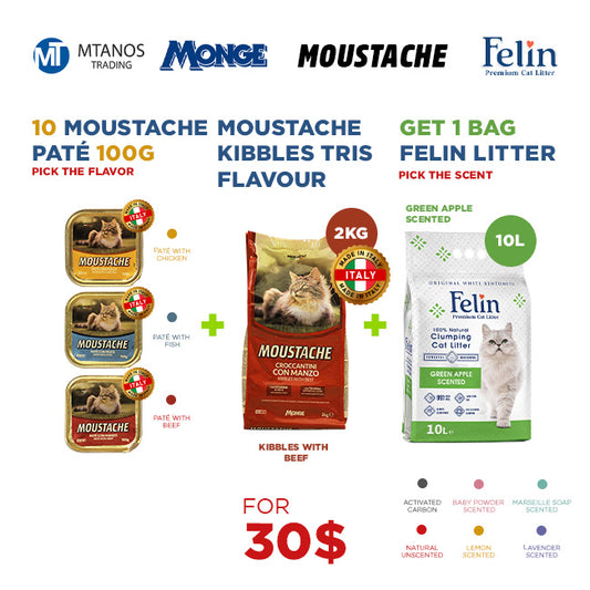 Monge + Moustache + Felin
