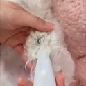 USB Rechargeable LED Pet Paw Trimmer for Dogs & Cats | Low Noise Grooming Clipper
