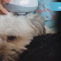 Electric Pet Massage Tool | USB Rechargeable Dog & Cat Massager