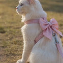 Escape-Proof Pet Harness & Leash Set for Small Dogs & Cats
