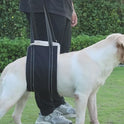 Dog Walking Assistance Harness – Rear Leg Support for Elderly & Injured Dogs