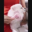 8-Piece Cat & Dog Grooming Kit | Self-Cleaning Brush & Nail Care Set