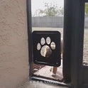 4-Way Lock Cat Door – Weatherproof Pet Flap for Windows & Thin Doors