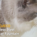 ROJECO 2L Stainless Steel Pet Water Fountain | Quiet & Filtered