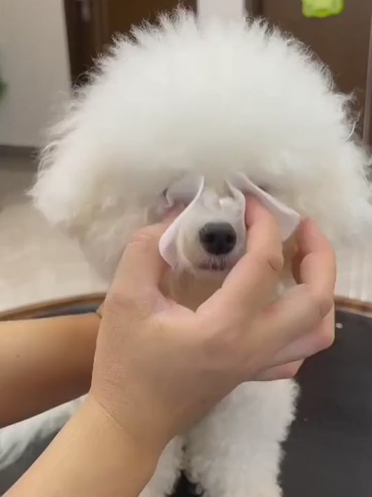 200pcs Pet Eye Cleaning Wipes | Tear Stain Remover for Pets