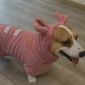 Hooded Dog Bathrobe & Quick-Dry Towel for Dogs & Cats