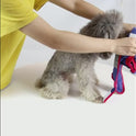 Post-Surgery Dog Recovery Suit | Soft Medical Recovery Shirt for Dogs & Cats
