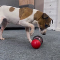 Interactive Dog Toy – Treat Dispenser Puzzle Ball & Food Feeder for All Breeds