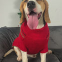 Christmas Reindeer Dog Sweater – Festive Pet Clothing
