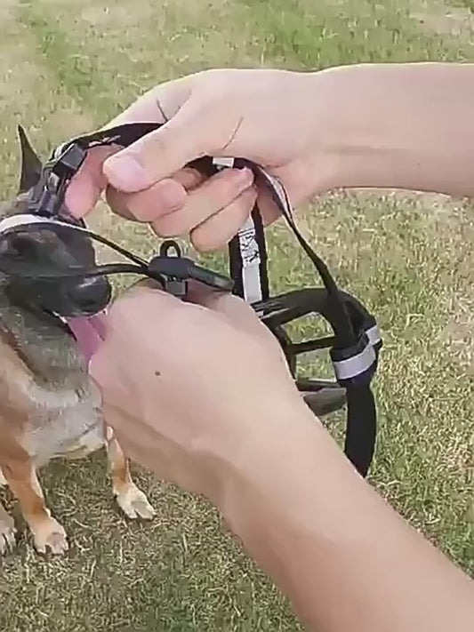 Soft Plastic Dog Muzzle – Anti‑Bite Pet Mask for Safe Outdoor Use