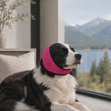 Dog Noise-Reducing Ear Muffs – Calming Ear Cover for Dogs