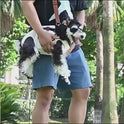 2-Way Pet Carrier Bag for Cats & Small Dogs – Crossbody Travel Bag